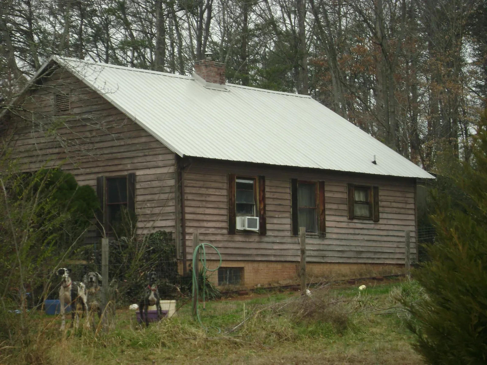 White metal roof on an old wood sided farmhouse, from a Metal Roof Installation job in Collins